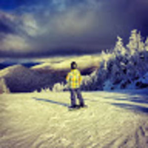 Meet your Posher, Andrew